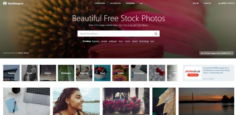 stocksnap-photos-libre-droits-ipso-web