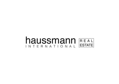 logo haussmann ipsoweb